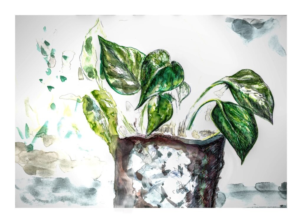 pothos-1024x757 5 Plantas que transforman los hogares
